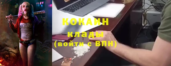 гашик Богданович