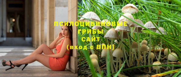 герыч Кодинск