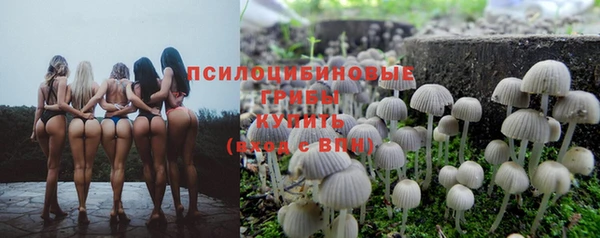 герыч Кодинск