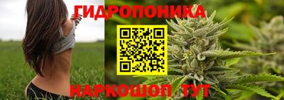 стаф Бузулук