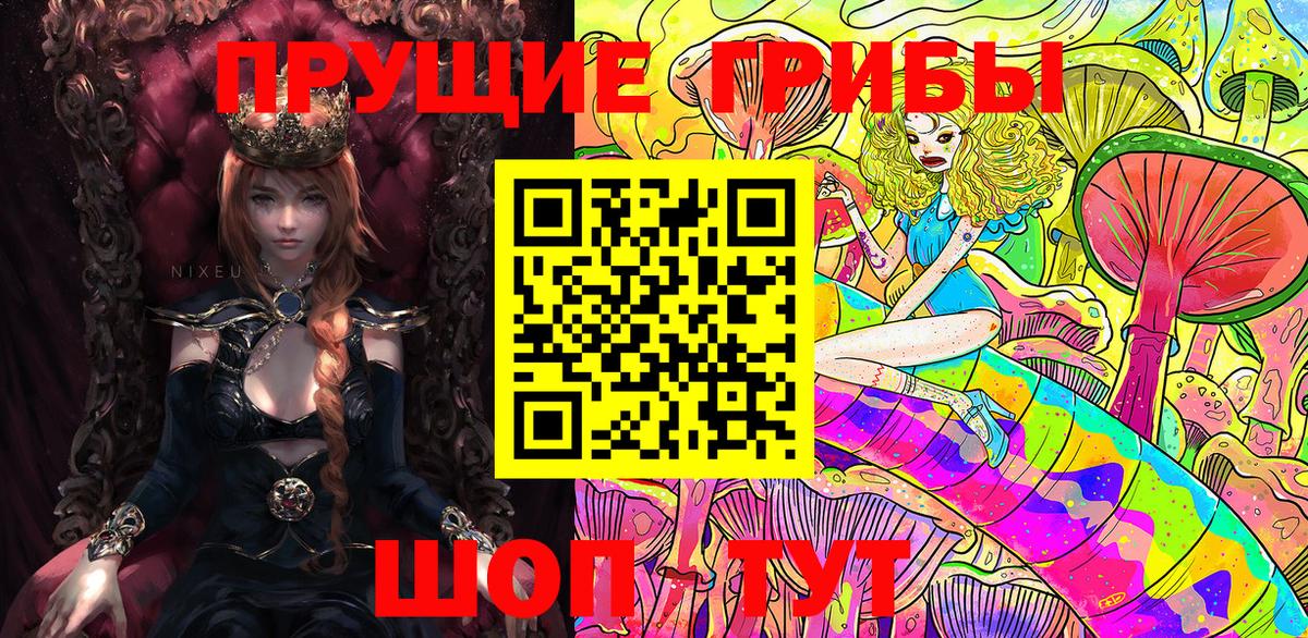 Галлюциногенные грибы мухоморы  Димитровград 