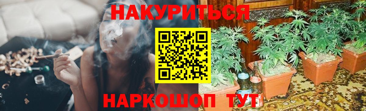 Каннабис конопля  Бошки Шишки THC 21%  Канабис White Widow  Вход с VPN  Димитровград 